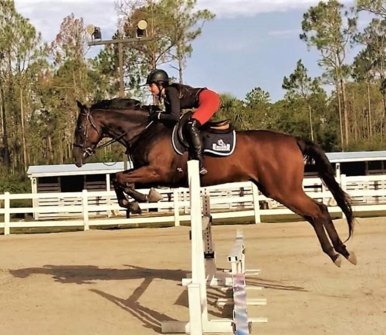 woman jumping with show horse